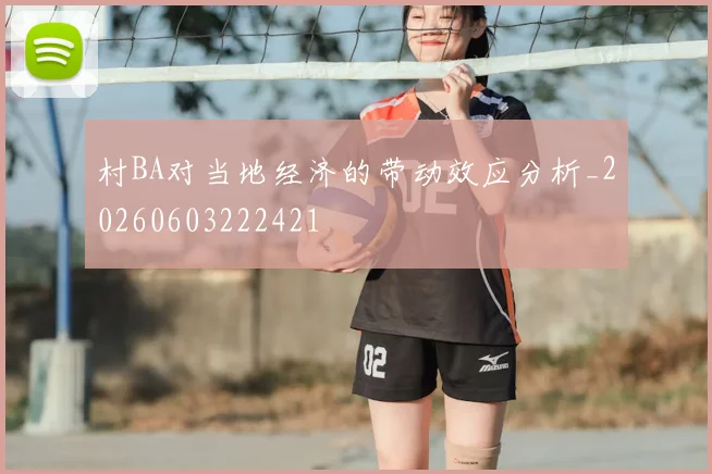 村BA对当地经济的带动效应分析_20260603222421