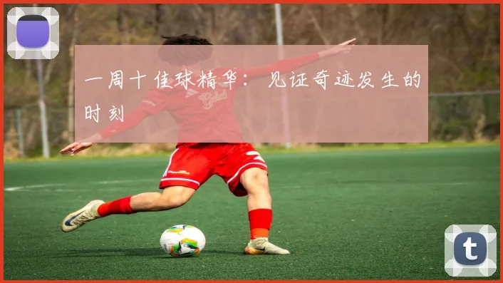 一周十佳球精华：见证奇迹发生的时刻