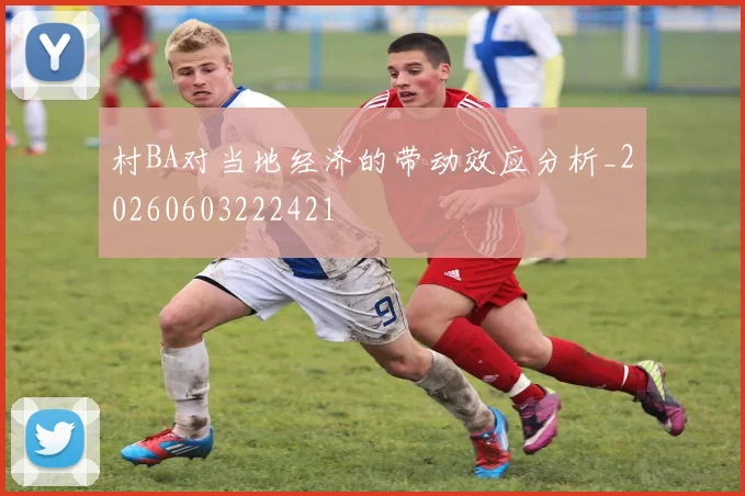 村BA对当地经济的带动效应分析_20260603222421